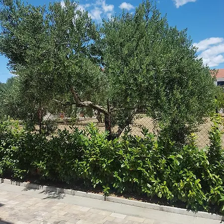Josip 2 Tribunj (Sibenik-Knin)